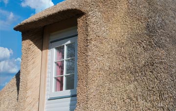 Hoselaw thatch roof disadvantages